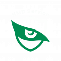 NMD Logo Gruen neu